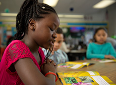 Leveled Literacy Intervention (LLI) Leveled Literacy Intervention (LLI)