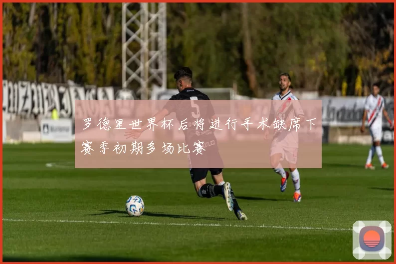 罗德里世界杯后将进行手术缺席下赛季初期多场比赛