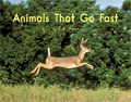 链接到《速度快的动物》这本书
